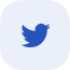 socialicon
